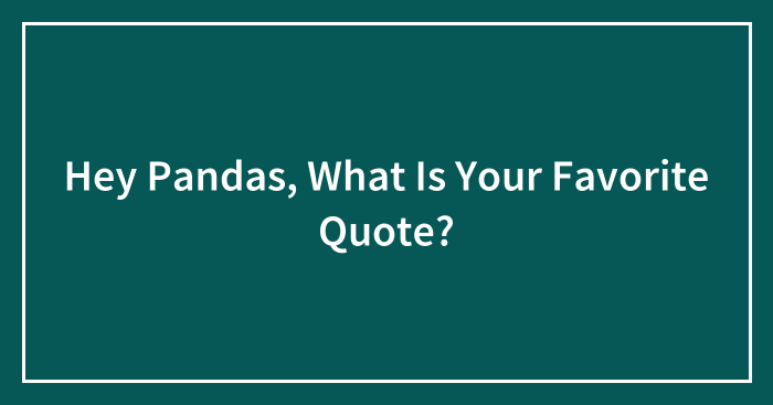 Hey Pandas, What Is Your Favorite Quote? (Closed)