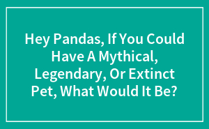 Hey Pandas, If You Could Have A Mythical, Legendary, Or Extinct Pet, What Would It Be?