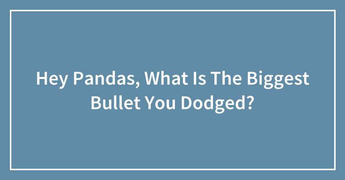 Hey Pandas, What Is The Biggest Bullet You Dodged? (Closed)