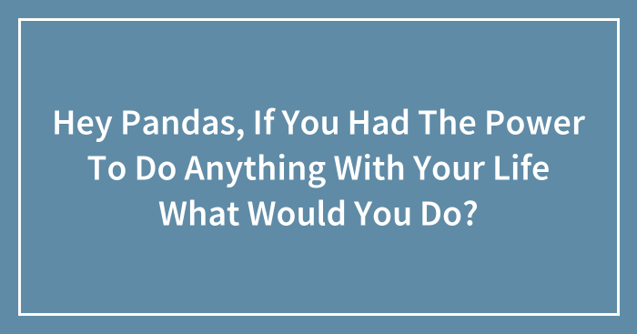 Hey Pandas, If You Had The Power To Do Anything With Your Life What Would You Do? (Closed)