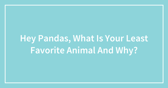 Hey Pandas, What Is Your Least Favorite Animal And Why? (Closed)