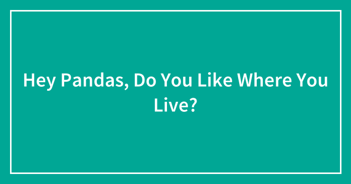 Hey Pandas, Do You Like Where You Live? (Closed)