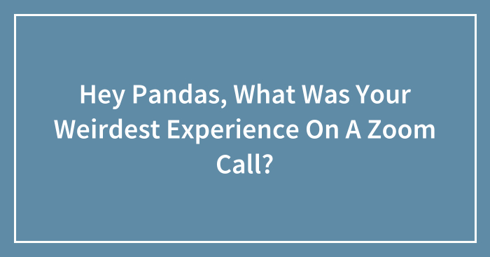 Hey Pandas, What Was Your Weirdest Experience On A Zoom Call? (Closed)