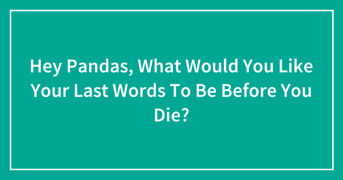 Hey Pandas, What Would You Like Your Last Words To Be Before You Die? (Closed)