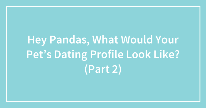 Hey Pandas, What Would Your Pet’s Dating Profile Look Like? (Part 2) (Closed)