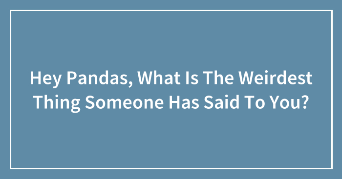 Hey Pandas, What Is The Weirdest Thing Someone Has Said To You? (Closed)