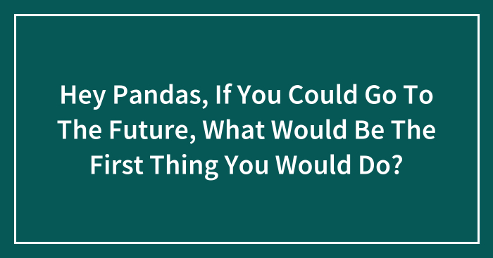 Hey Pandas, If You Could Go To The Future, What Would Be The First Thing You Would Do? (Closed)