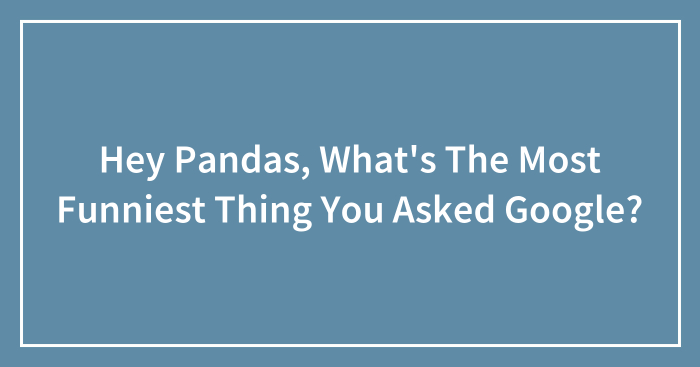 Hey Pandas, What’s The Most Funniest Thing You Asked Google? (Closed)