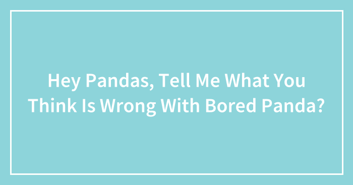Hey Pandas, Tell Me What You Think Is Wrong With Bored Panda? (Closed)