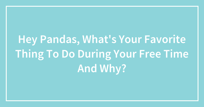Hey Pandas, What’s Your Favorite Thing To Do During Your Free Time And Why? (Closed)
