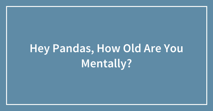 Hey Pandas, How Old Are You Mentally? (Closed)