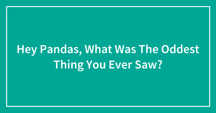 Hey Pandas, What Was The Oddest Thing You Ever Saw? (Closed)