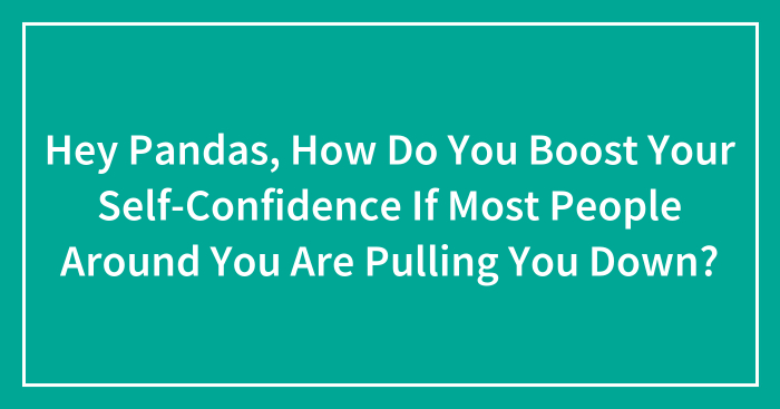 Hey Pandas, How Do You Boost Your Self-Confidence If Most People Around You Are Pulling You Down? (Closed)