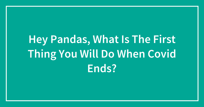 Hey Pandas, What Is The First Thing You Will Do When Covid Ends? (Closed)