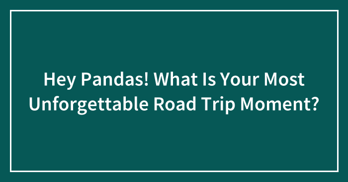 Hey Pandas! What Is Your Most Unforgettable Road Trip Moment? (Closed)