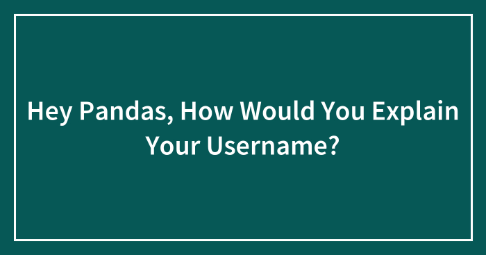 Hey Pandas, How Would You Explain Your Username? (Closed)