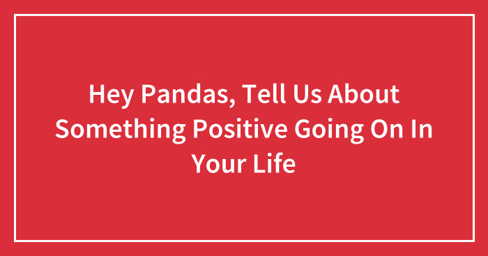 Hey Pandas, Tell Us About Something Positive Going On In Your Life (Closed)