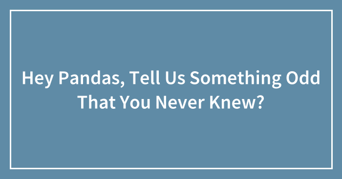 Hey Pandas, Tell Us Something Odd That You Never Knew? (Closed)