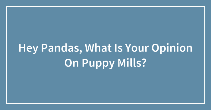 Hey Pandas, What Is Your Opinion On Puppy Mills? (Closed)