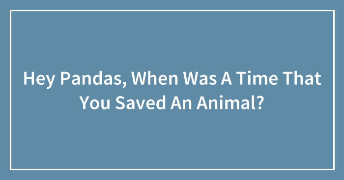 Hey Pandas, When Was A Time That You Saved An Animal? (Closed)
