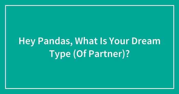 Hey Pandas, What Is Your Dream Type (Of Partner)? (Closed)