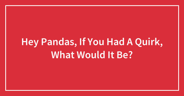 Hey Pandas, If You Had A Quirk, What Would It Be? (Closed)