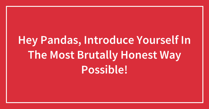 Hey Pandas, Introduce Yourself In The Most Brutally Honest Way Possible! (Closed)