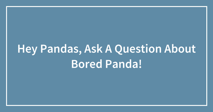 Hey Pandas, Ask A Question About Bored Panda! (Closed)