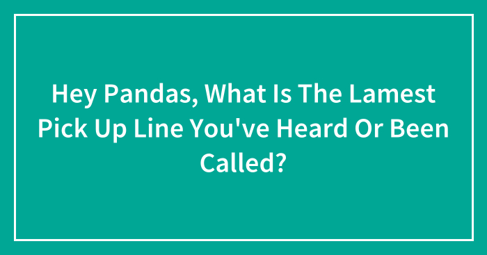 Hey Pandas, What Is The Lamest Pick Up Line You’ve Heard Or Been Called? (Closed)