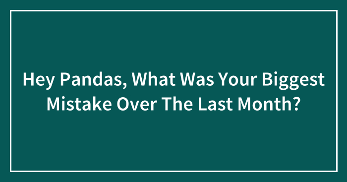 Hey Pandas, What Was Your Biggest Mistake Over The Last Month? (Closed)