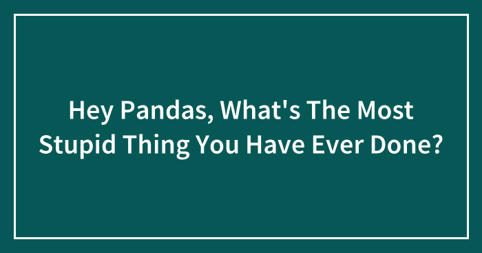 Hey Pandas, What’s The Most Stupid Thing You Have Ever Done? (Closed)