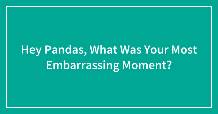 Hey Pandas, What Was Your Most Embarrassing Moment? (Closed)