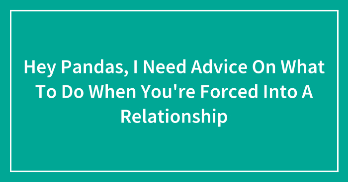 Hey Pandas, I Need Advice On What To Do When You’re Forced Into A Relationship (Closed)
