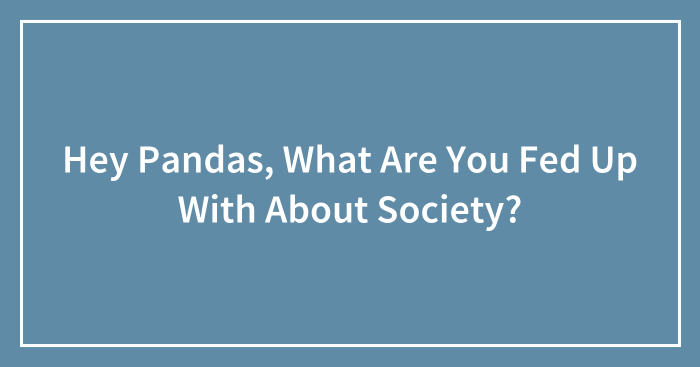Hey Pandas, What Are You Fed Up With About Society? (Closed)