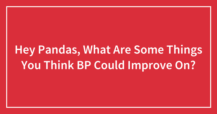 Hey Pandas, What Are Some Things You Think BP Could Improve On? (Closed)