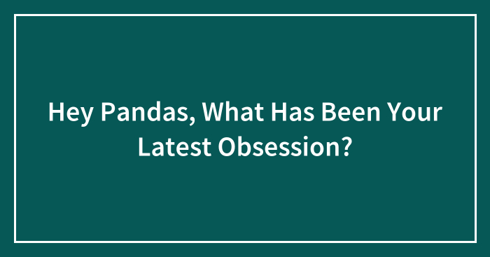 Hey Pandas, What Has Been Your Latest Obsession? (Closed)