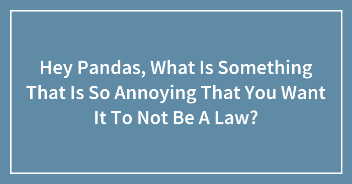 Hey Pandas, What Is Something That Is So Annoying That You Want It To Not Be A Law? (Closed)