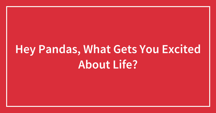 Hey Pandas, What Gets You Excited About Life? (Closed)