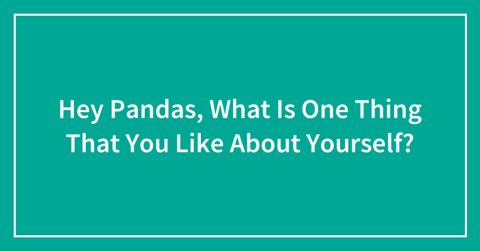 Hey Pandas, What Is One Thing That You Like About Yourself? (Closed)