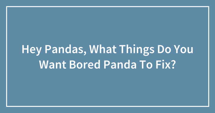 Hey Pandas, What Things Do You Want Bored Panda To Fix? (Closed)