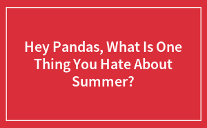 Hey Pandas, What Is One Thing You Hate About Summer?