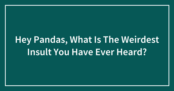 Hey Pandas, What Is The Weirdest Insult You Have Ever Heard? (Closed)