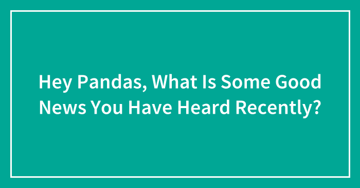 Hey Pandas, What Is Some Good News You Have Heard Recently? (Closed)