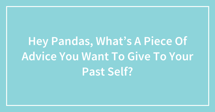 Hey Pandas, What’s A Piece Of Advice You Want To Give To Your Past Self? (Closed)