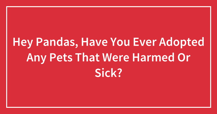 Hey Pandas, Have You Ever Adopted Any Pets That Were Harmed Or Sick? (Closed)