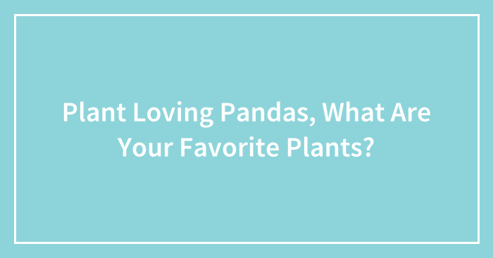 Plant Loving Pandas, What Are Your Favorite Plants? (Closed)