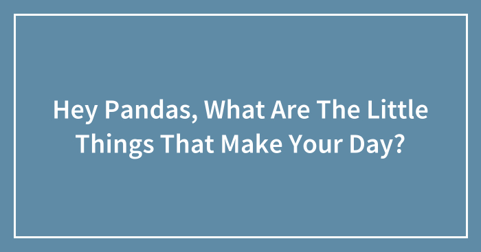 Hey Pandas, What Are The Little Things That Make Your Day? (Closed)