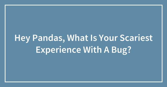 Hey Pandas, What Is Your Scariest Experience With A Bug? (Closed)