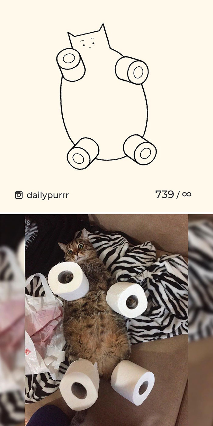 Stupid-Cat-Drawings-New-Dailypurrr
