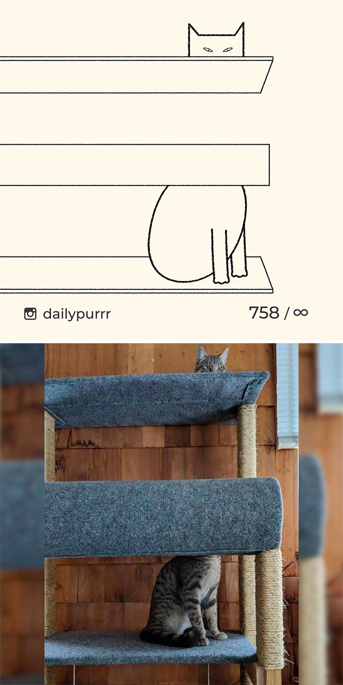 Stupid-Cat-Drawings-New-Dailypurrr